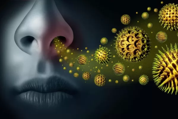 Seasonal Pollen Allergy Seasonal pollen allergy and hay fever allergies and medical concept as a group of microscopic organic pollination particles flying in the air with a human breathing as a health care symbol with 3D illustration elements.